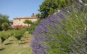 Domaine de Cousignac